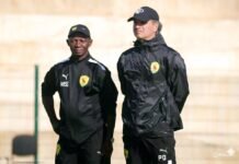 Le Bilan salué de Paulo Duarte à la tête du Syli national