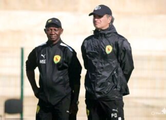 Le Bilan salué de Paulo Duarte à la tête du Syli national