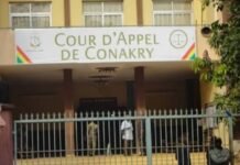 Guinée : Le Parquet Général met en garde contre la désinformation sur les réseaux sociaux