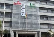 Guinée : vers l’introduction de billets de 50 000 et 100 000 GNF