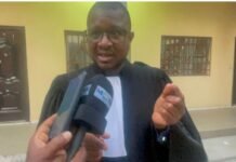 GUINEE- Affaire du Parc urbain de Conakry : l’avocat de la société VIDERI accuse Rio Tinto d’avoir trompé l’État