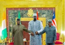 Sommet tripartite à Conakry : trois chefs d’État pour un seul objectif, la paix