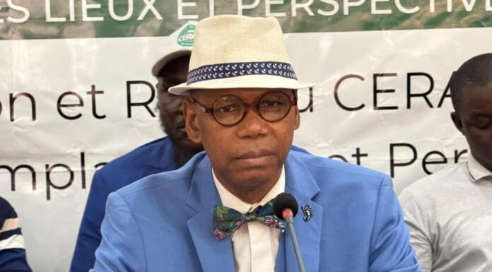 Plaidoyer pour la structuration et la relance de la GMD ( Par Lamarana Petty Diallo)