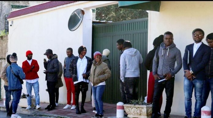 Guinéens sans papiers en Allemagne : entre survie clandestine et hantise de l’expulsion