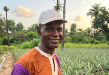 Grand Entretien : Alya Soumah, le visage de la résilience de l’ananas à Friguiagbé