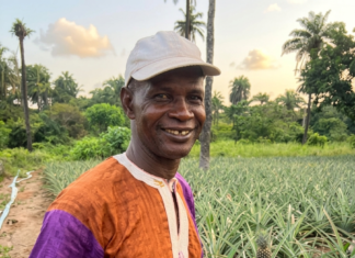Grand Entretien : Alya Soumah, le visage de la résilience de l’ananas à Friguiagbé