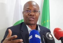 Guinée : la chute surprise d’Ousmane Gaoual Diallo, sanction ou réorganisation ?