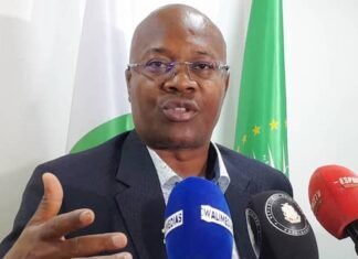 Guinée : la chute surprise d’Ousmane Gaoual Diallo, sanction ou réorganisation ?