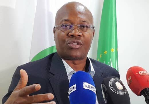 Guinée : la chute surprise d’Ousmane Gaoual Diallo, sanction ou réorganisation ?