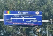 Voler l’État, un raccourci vers la gloire en Guinée ? (Opinion)
