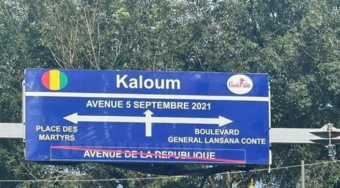 Voler l’État, un raccourci vers la gloire en Guinée ? (Opinion)