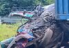 Communiqué du ministère des Transports : au moins sept morts dans un accident à Labota (Kindia)