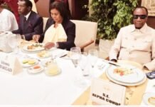 L’Axe Brazzaville-Malabo: comment Alpha Condé veut reconquérir Conakry