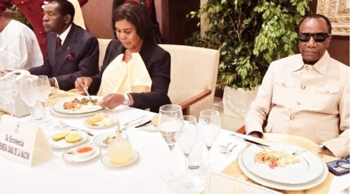 L’Axe Brazzaville-Malabo: comment Alpha Condé veut reconquérir Conakry