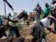 Vingt organisations africaines unies contre l’impunité en Guinée
