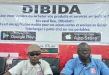 Plateforme numérique DIBIDA : les annonces dispersées enfin réunies au même endroit