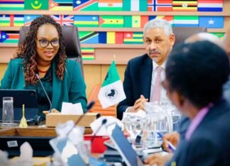Mariama Ciré Sylla à Abidjan : Le partenariat Guinée–BAD au service du Programme Simandou 2040