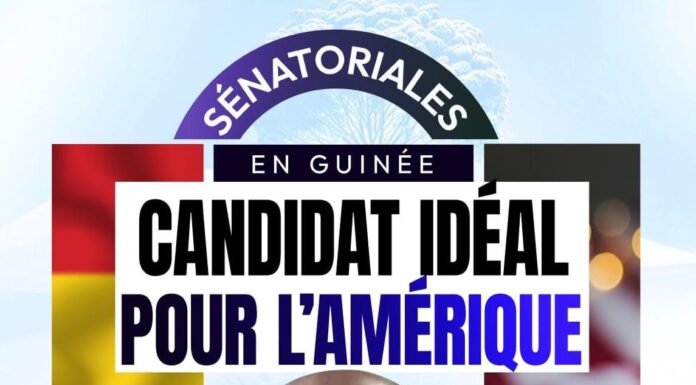 Mohamed Sy : le choix de l’expérience, le choix de l’avenir